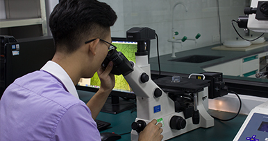 金相顯微鏡 金相顯微鏡